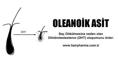 oleanoic-asit